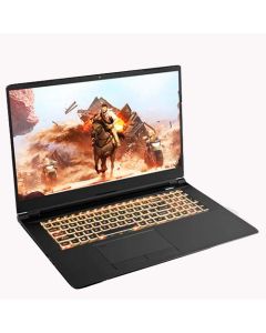 Clevo PC70HP-1 17.3" Gaming Laptop